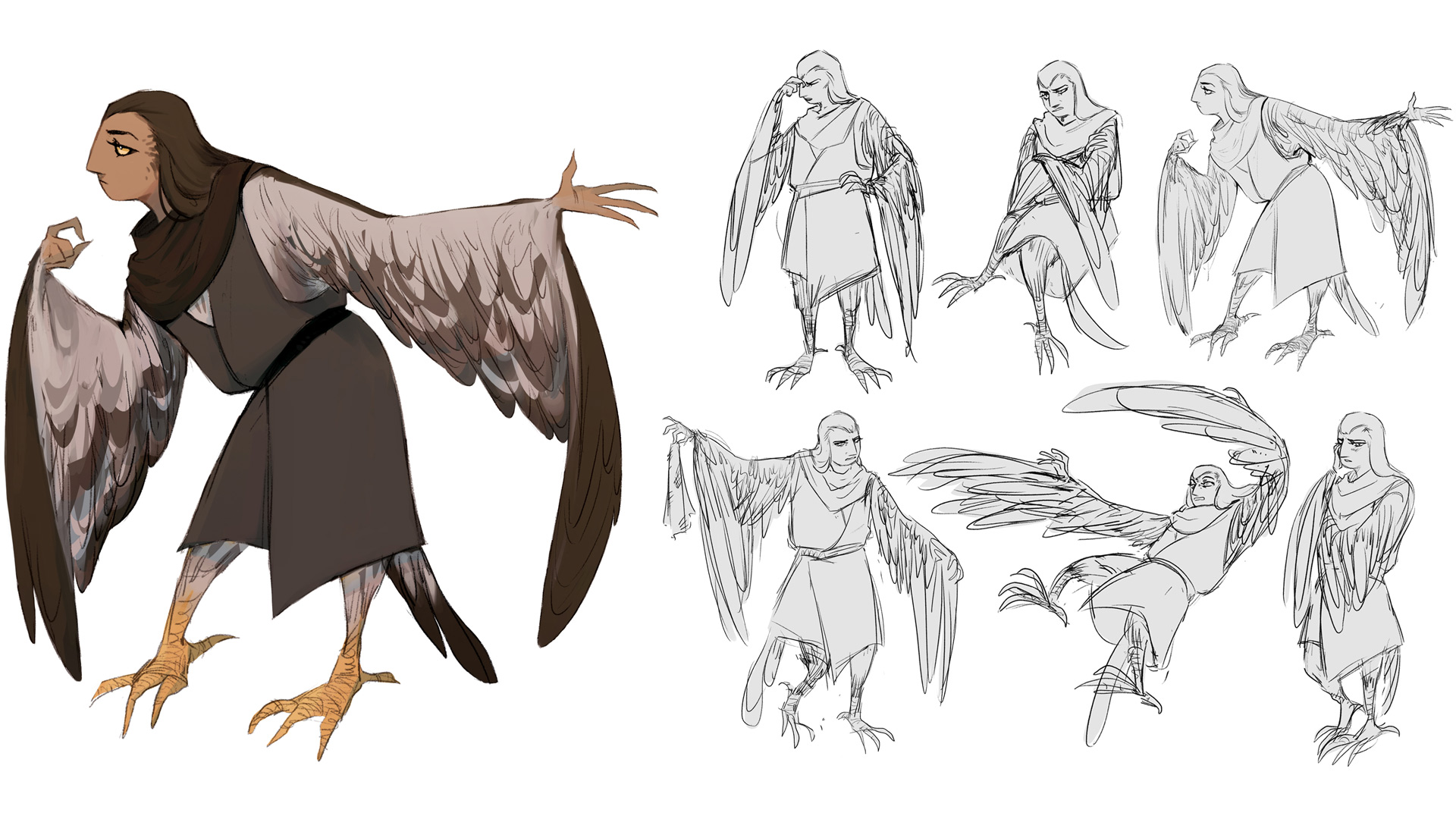 Multiple sketches of an avian character. There is a bigger coloured sketch followed by six other sketches in various poses.