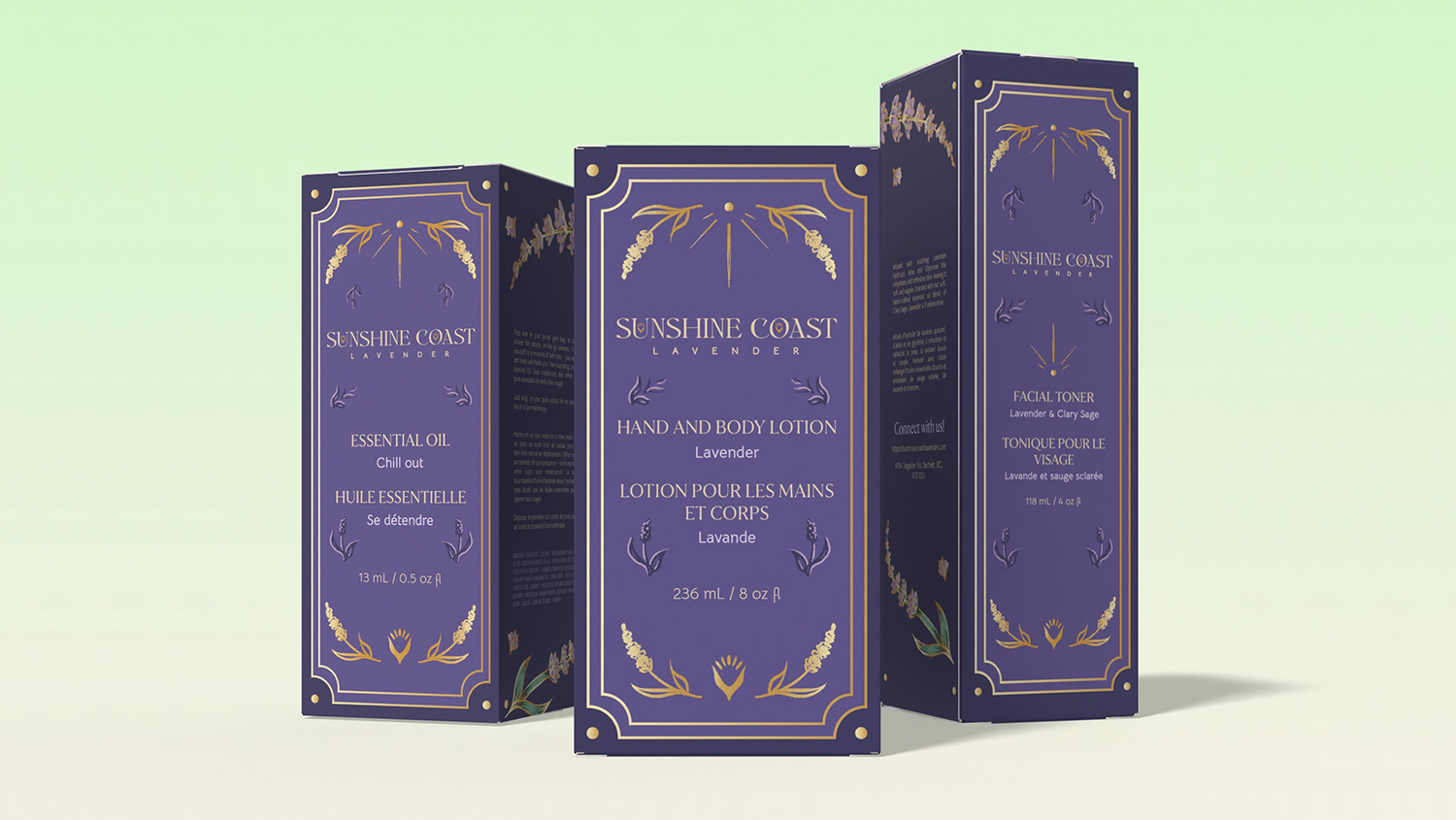 3D models of the Sunshine Coast Lavender boxes arranged together on a light gradient background, including packaging for essential oil, hand and body lotion, and facial toner.