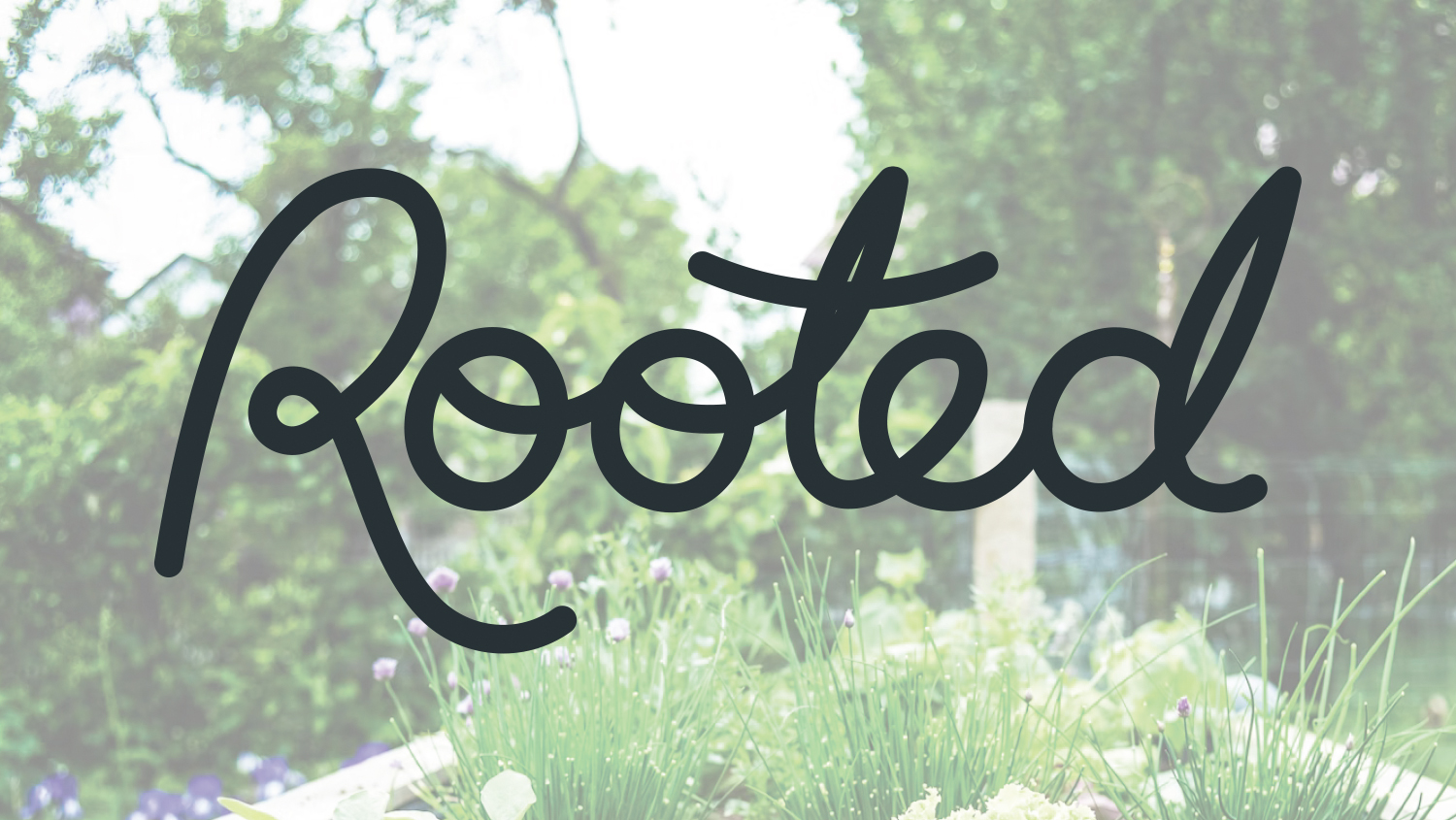 Rooted company logo overlaying a background of a garden plot with vegetables growing.